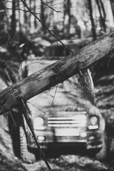 Брудні позашляховики долають перешкоди в осінньому лісі, вибірковий фокус . — стокове фото