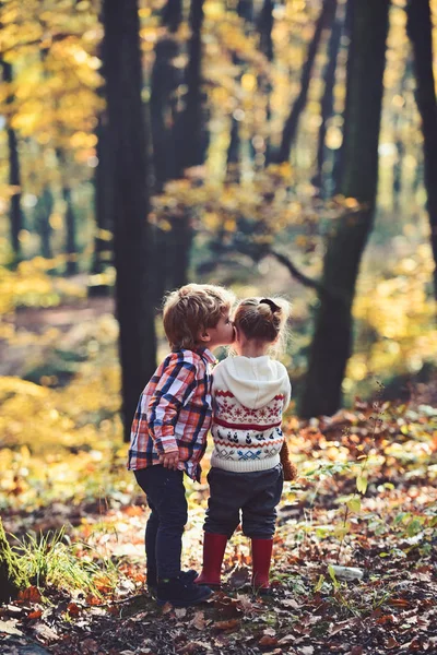 Amour et confiance de la famille. Petit garçon embrasser petite amie dans la forêt d'automne. Frère embrasser sœur avec amour dans les bois. Concept de Saint Valentin. Amitié d'enfance et développement précoce des enfants — Photo