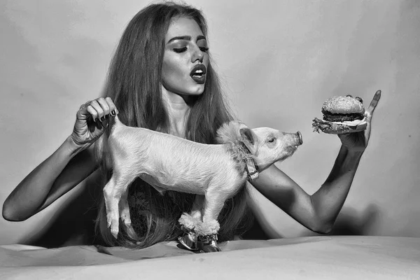 Girl eating burger with pig — Stock Photo, Image