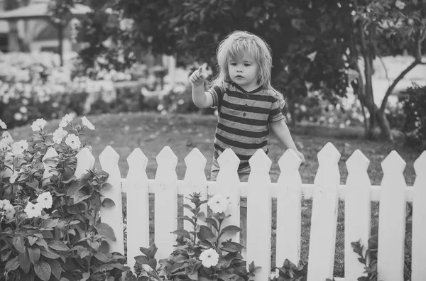 Cep telefonu ile çimenlerin üzerinde ahşap çit, küçük çocuk — Stok fotoğraf