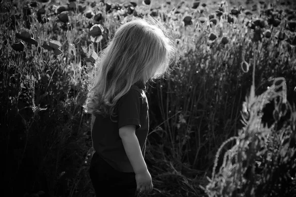 Niño pequeño o niño en el campo de semillas de amapola —  Fotos de Stock