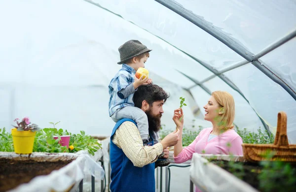 Amor. conceito de amor. A família ama-se. relações de amor de família de jardineiro — Fotografia de Stock