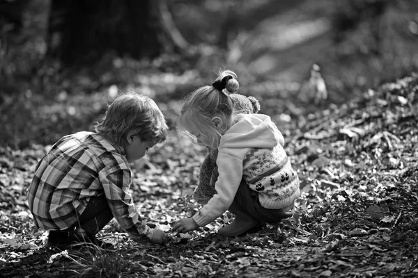 Children pick acorns from oak trees. Brother and sister camping in autumn forest. Little boy and girl friends have fun on fresh air. Childhood and child friendship. Kids activity and active rest — Stock Photo, Image