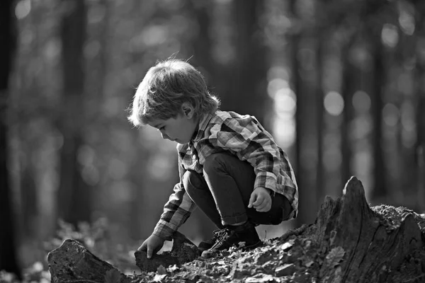 가 방학과 캠핑입니다. 활동과 아이 대 한 활성 나머지입니다. 신선한 공기 야외 어린이 놀이. 동화 숲에서 어린 왕자입니다. 가 숲에서 작은 소년 놀이 — 스톡 사진