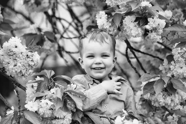 Roztomilý chlapeček mezi růžové kvetoucí květiny — Stock fotografie