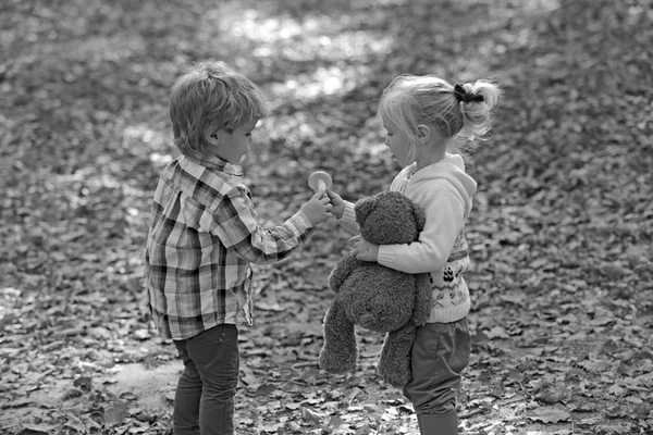 As crianças colhem cogumelos na floresta de outono. Menino e menina amigos acampar na floresta. Alimentos orgânicos e saudáveis. Criação e desenvolvimento precoce. Infância e amizade infantil — Fotografia de Stock