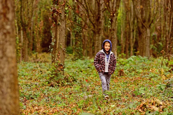 L'automne remplit l'air. Enfant dans la forêt d'automne. Adorable enfant marcher dans la forêt. Enfant garçon jouer le jour d'automne. J'aime l'automne — Photo