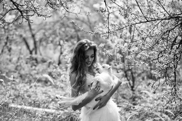 Young smiling woman with beautiful face and long curly hair in glamour dress holding cute white small goat in lush blooming garden