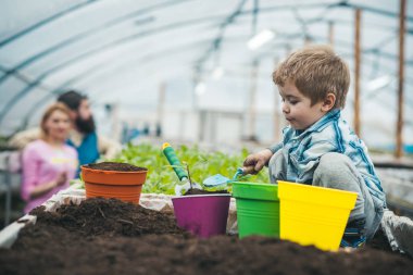 Doğal toprak. zengin doğal toprak Bahçe için. sera doğal toprak ile küçük çocuk çiftçi eser bulunmaktadır. Doğal toprak kavramı. Bahçe gurusu.