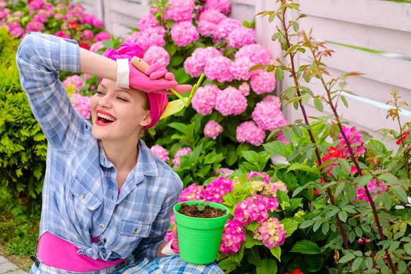 庭の花の世話を女性。幸せな女庭師の花。温室の花。アジサイ。春。花の世話と水やり。土壌と肥料。植物での作業は大きな喜びです。 — ストック写真