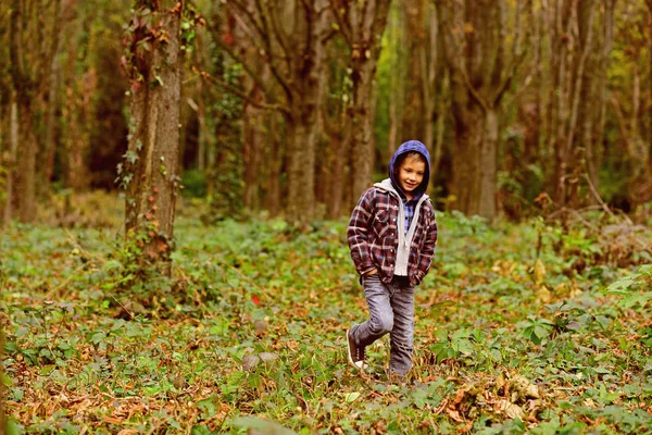 Cada día es un viaje. Un niño pequeño camina por el bosque. El niño disfruta del día de otoño. Actividades de ocio para niños al aire libre. Guardería infantil. Día internacional de los niños — Foto de Stock