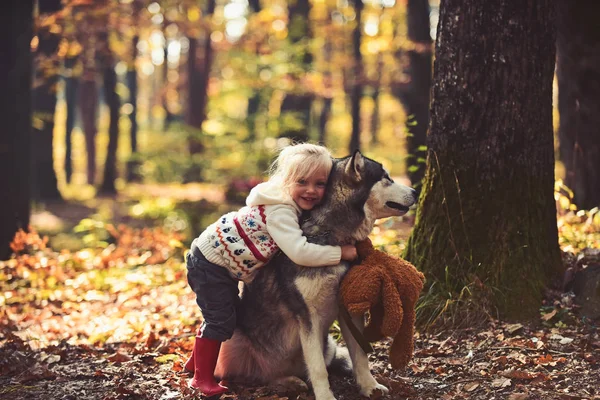 Glückliches kleines Mädchen spielt mit großem Hund im Wald — Stockfoto