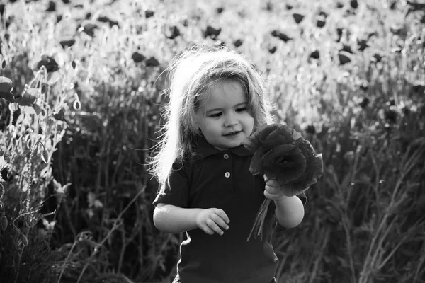 Cute little boy on poppy field in hot summer — Stock Photo, Image