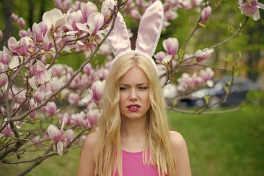 tavşan kulakları, seksi kadın Manolya.