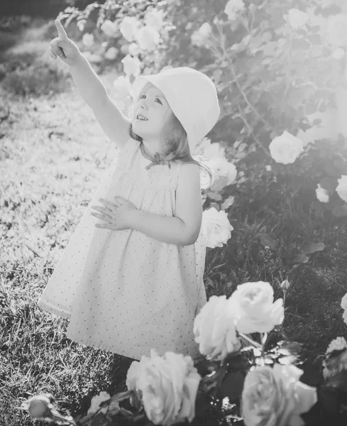 Criança que está em flores de rosa florescentes na grama verde — Fotografia de Stock