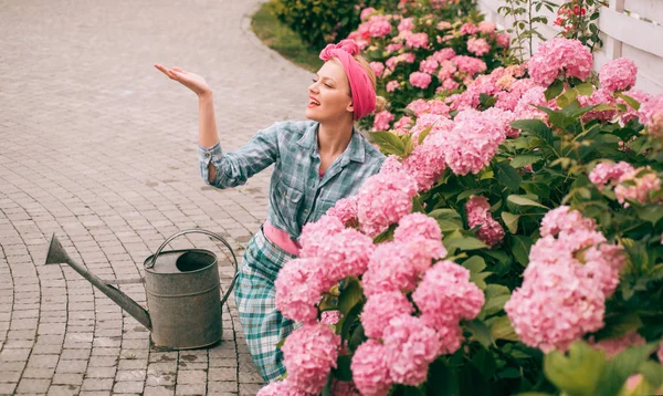 庭の花の世話を女性。幸せな女庭師の花。花の世話と水やり。土壌と肥料。温室の花。アジサイ。春と夏。温室の女性 — ストック写真