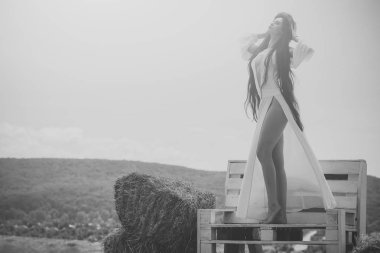 Güzellik, bak konsept