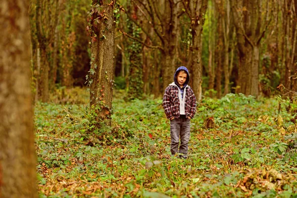Sentez la nature. Le petit garçon joue dans la forêt. Le petit enfant marche dans la forêt. Adorable garçon sur le paysage forestier. Plus loin dans la forêt, plus épais sont les arbres — Photo