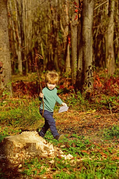 Ребенок гуляет по лесу. Малыш играет на свежем воздухе. Тавелер и авантюрист — стоковое фото