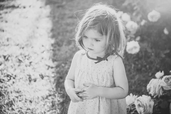 Enfant avec un visage réfléchi en robe bleue aux roses en fleurs — Photo