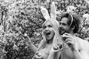 Çift renkli yumurta tutan tavşan kulakları aşık