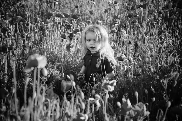 Fältet av blomma med barn eller liten pojke — Stockfoto