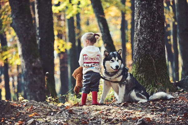 Bambina con cane che cammina nella foresta — Foto Stock