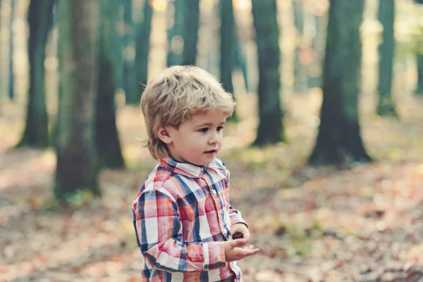 Lindo niño disfrutando del día de otoño. Niño preescolar con ropa otoñal colorida que se divierte en el jardín o el parque en un día soleado cálido —  Fotos de Stock