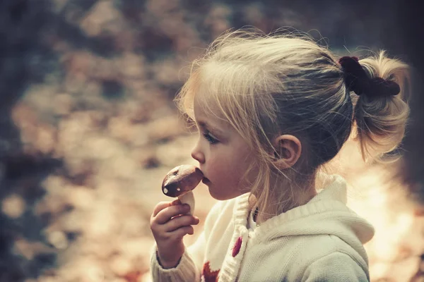 Criança com cogumelo fresco na floresta de outono. A menina colhe cogumelos na floresta. Alimentos orgânicos e saudáveis. Criação e desenvolvimento precoce. Atividade infantil e descanso ativo ao ar livre — Fotografia de Stock