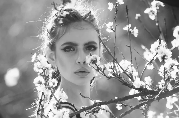 Menina em cereja branca ou flor de primavera de damasco florescendo — Fotografia de Stock