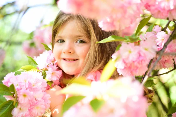 Moederdag. Klein kind. Natuurlijke schoonheid. Childrens dag. Zomer meisje mode. Gelukkige jeugd. gezicht en huidverzorging. allergie voor bloemen. Lente. weersverwachting. Klein meisje in het zonnige voorjaar — Stockfoto