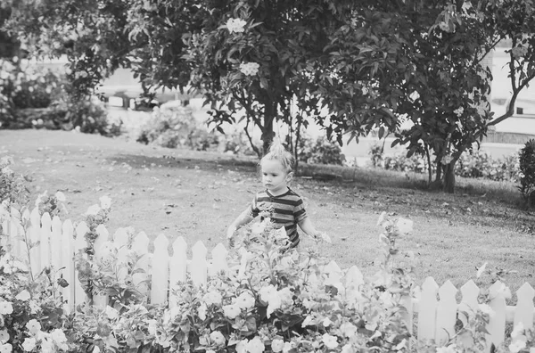 Small boy child outdoor near white wooden fence — Stock Photo, Image