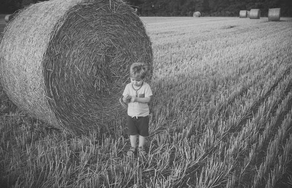 子供とフィールドで干し草の俵 — ストック写真