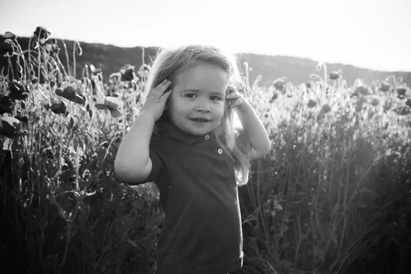 Kid or little boy in field of poppy seed — Stock Photo, Image