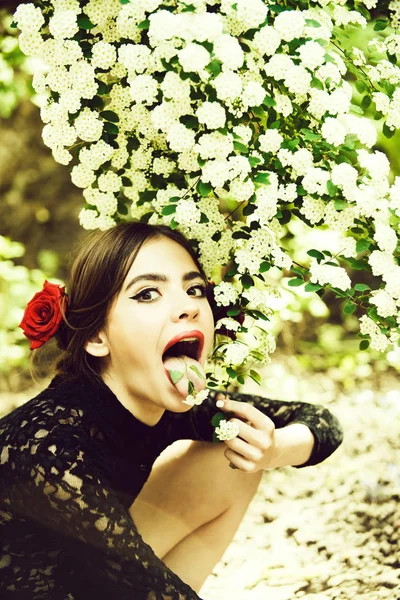 Όμορφο κορίτσι με μοντέρνο ισπανικό μακιγιάζ, τριαντάφυλλο λουλούδι στα μαλλιά — Φωτογραφία Αρχείου