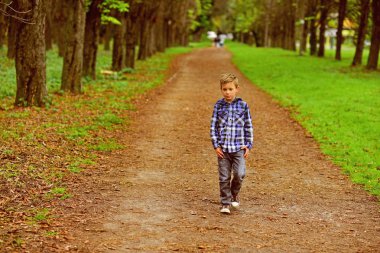 Benim mükemmel hafta sonu bir yürüyüş için gidiyor. Hoş ayak küçük çocuk parkta yürümek. Küçük avare. Küçük çocuk patika yürümek.
