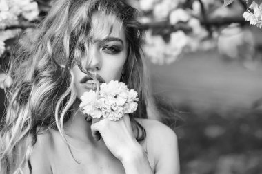 Pembe çiçeği güzel kadın