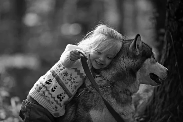 Ευτυχισμένο κοριτσάκι με το σκυλί χάσκι — Φωτογραφία Αρχείου