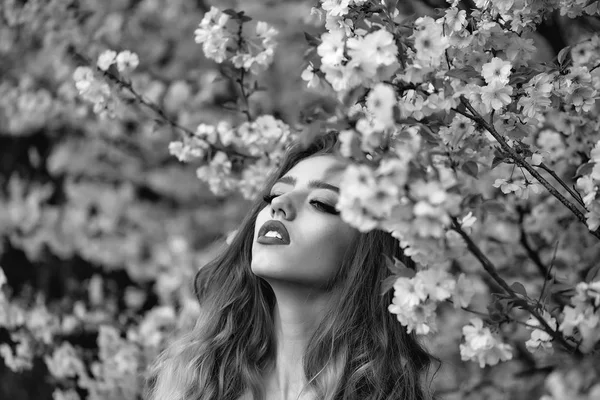 Sinnliches Mädchen in voller Blüte — Stockfoto