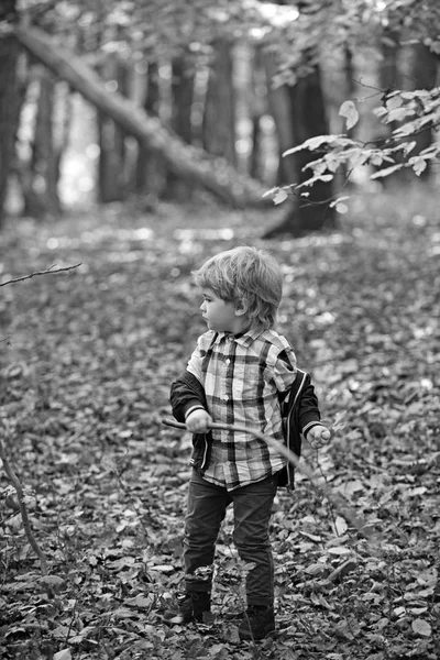 Menino jogar no ar fresco ao ar livre. Menino na floresta de outono — Fotografia de Stock