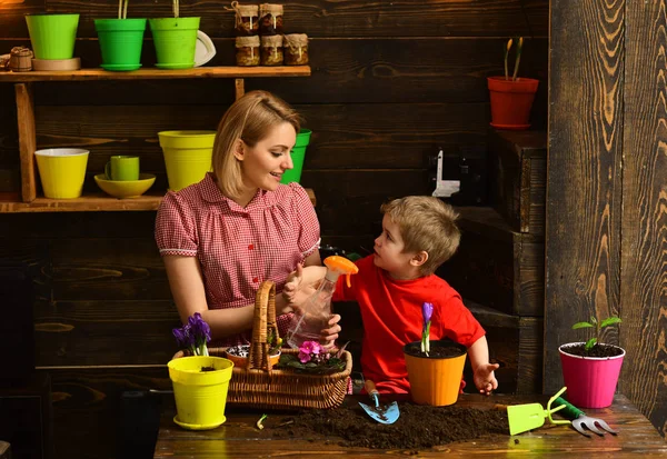 Bakım kavramı. Anne ve oğlu bitki çiçek Bakımı ile. Küçük çocuk yardımcı bitkiler için iyi bak anne. Bitkilerin dikkat çekici. Aşk tohumları toplamak — Stok fotoğraf