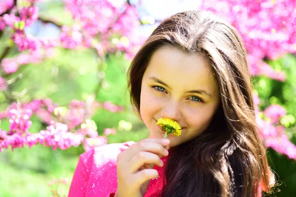 Allergy season. Pretty girl smell daisy flower in blooming garden. Young lady with dandelion at flowering tree. Cute girl on spring landscape. Spring allergy to pollen. Flower blossoms are in bloom — Stock Photo, Image