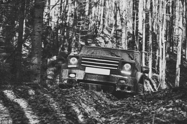 Smutsiga offroad bil med falla skog på bakgrund, oskärpa. — Stockfoto