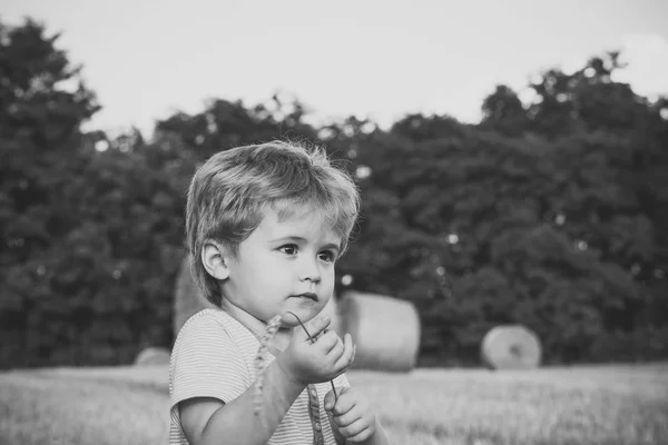 Small kid with spikelet at hay bale, summer — Stock Photo, Image