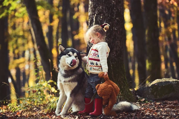 Щаслива маленька дівчинка грає з великим собакою в лісі восени — стокове фото