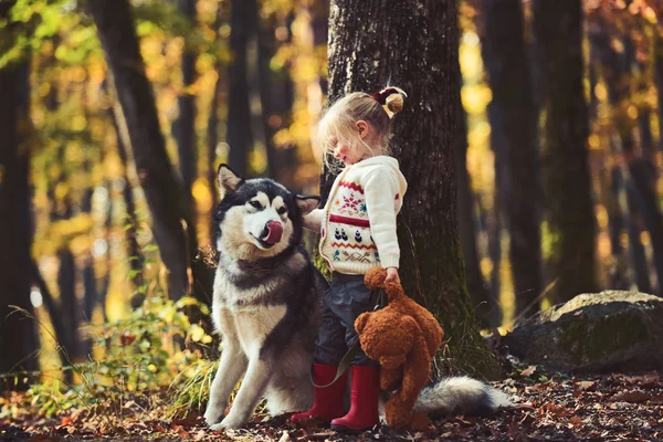 Bonne petite fille jouant avec un gros chien en forêt en automne — Photo