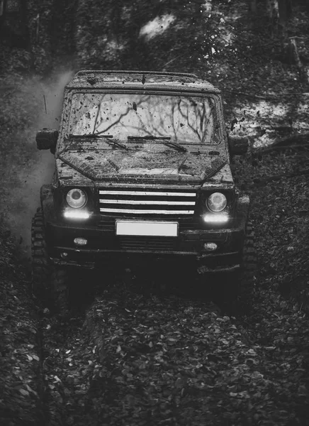 Dirty offroad auto s podzimní les na pozadí. — Stock fotografie