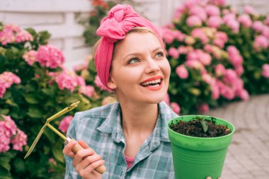 Çiçek bakım ve sulama. toprak ve gübre. Ortanca. Bahar ve yaz. Sera çiçekler. mutlu kadın bahçıvan çiçekli. kadın çiçek bahçesinde bak. Yorgun kadın