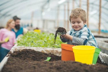 temiz ürünler. temiz ürünleri sanayi. temiz ürünler büyüyen küçük çocuk. temiz ürünler kavramı. güzellik bahçe.