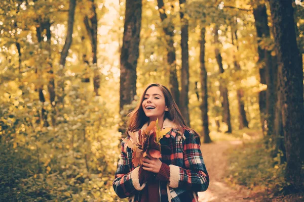 Gadis cantik ceria dengan sweater merah di luar ruangan pada hari musim gugur yang indah. Suasana hati musim gugur. Perempuan Muda Romantis di Alam Latar Belakang Luar. Potret indah perempuan Kaukasia berjalan di luar ruangan. — Stok Foto